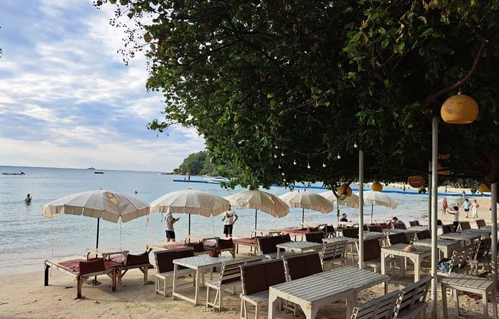 Image of Blog at Tom Pizza Resort